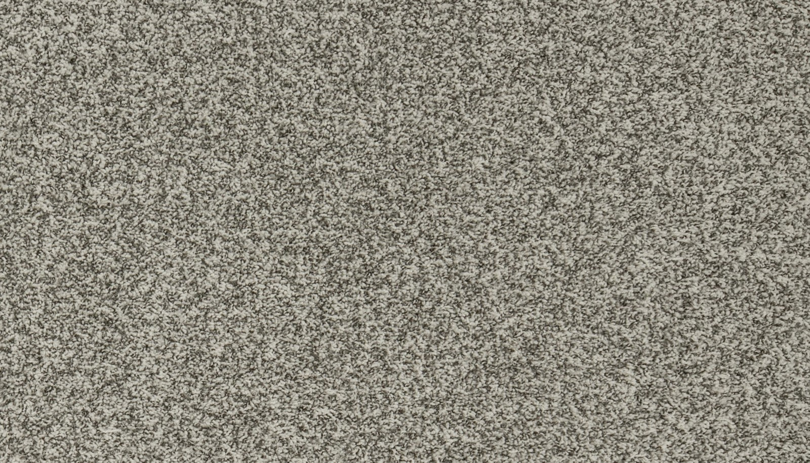 Mohawk Apricity in Winter Fern, Carpet product detail