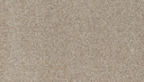 Mohawk Apricity Carpet