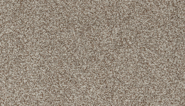 Mohawk Apricity Carpet