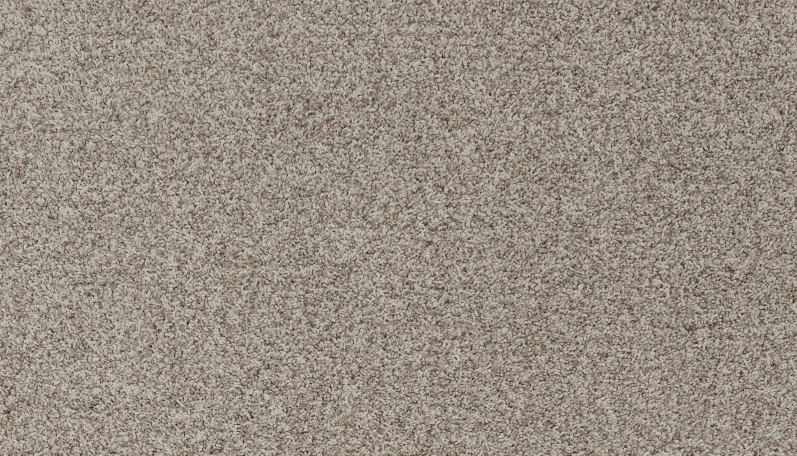 Mohawk Apricity in Frosted Dawn, Carpet product detail