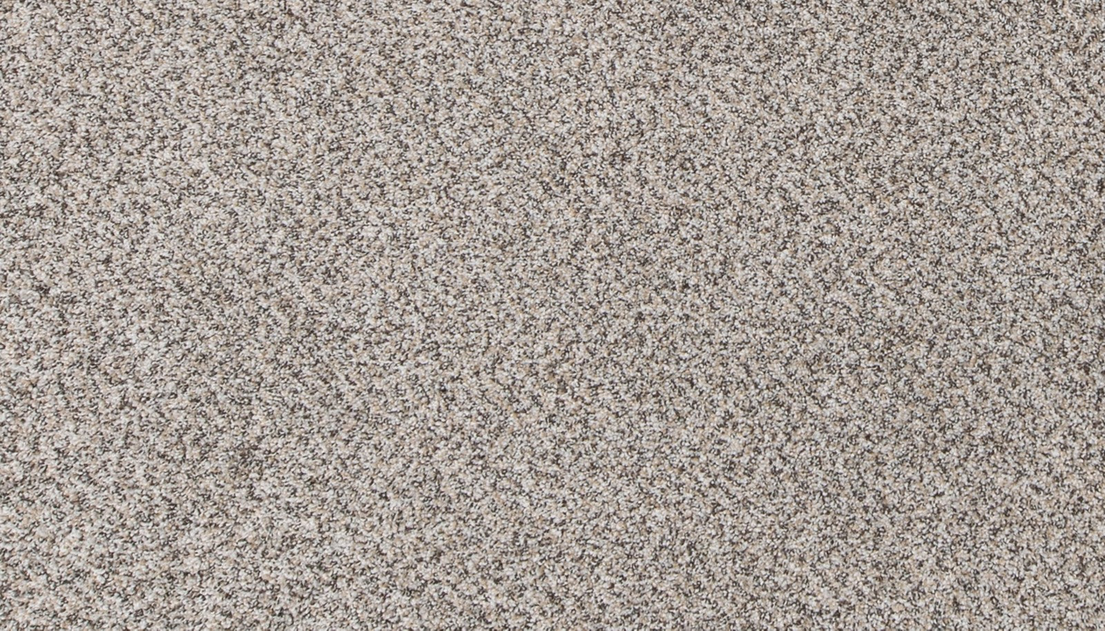 Mohawk Canine Comfort in Highway, Carpet product detail