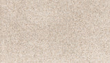 Mohawk Paw Pathway Carpet