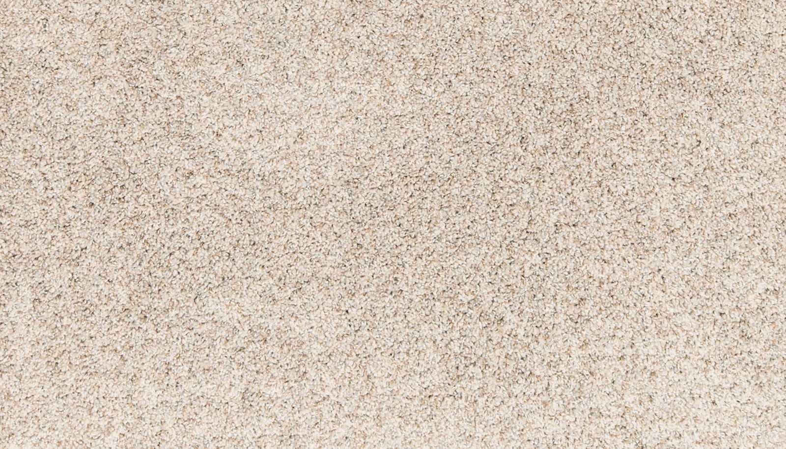 Mohawk Paw Pathway in Breeze, Carpet product detail