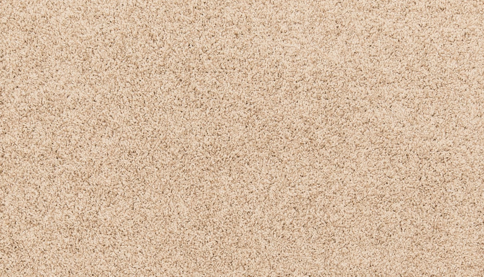Mohawk Paw Pathway in Windsome, Carpet product detail