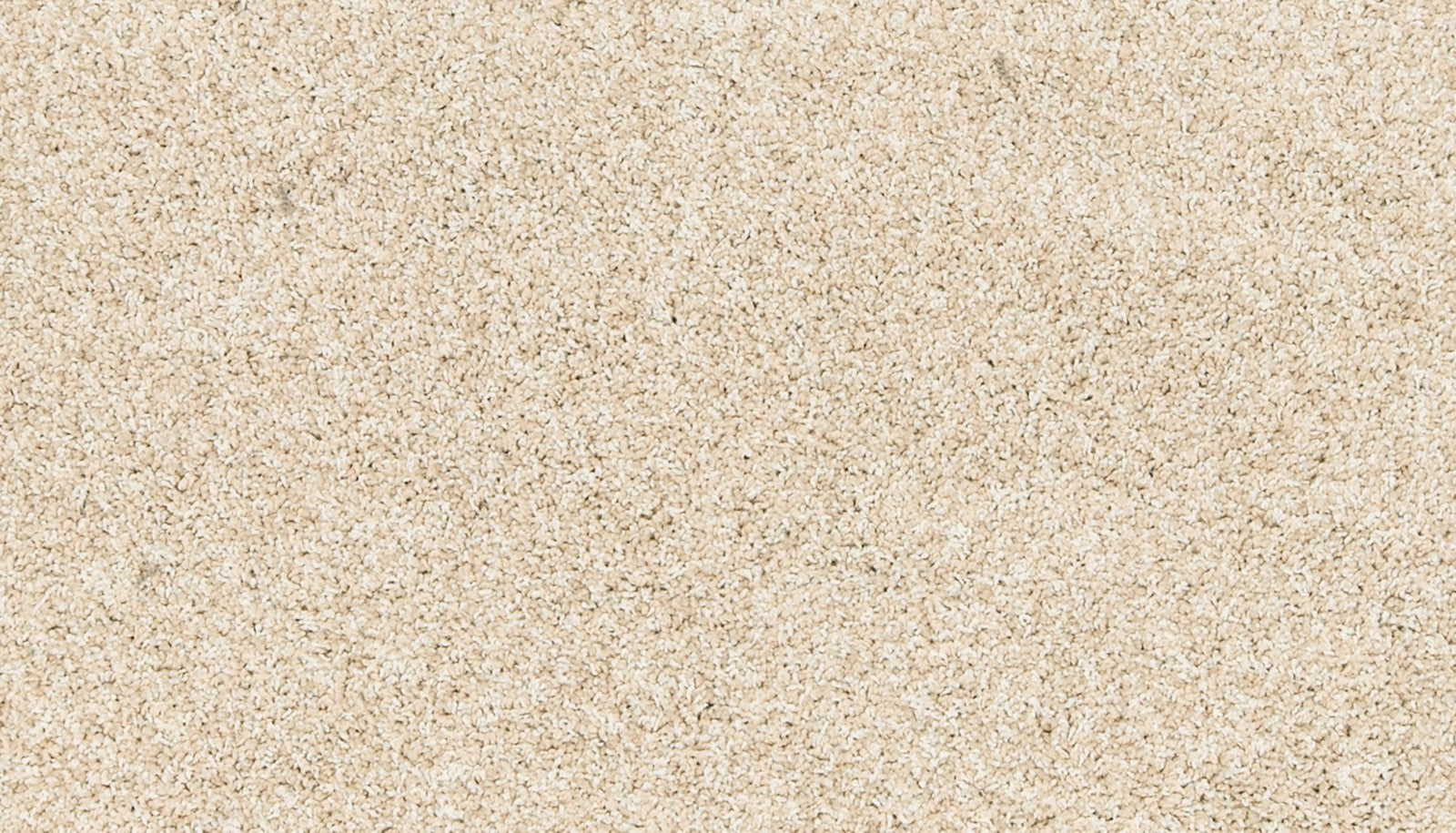 Mohawk Paw Pathway in Sugar Cone, Carpet product detail