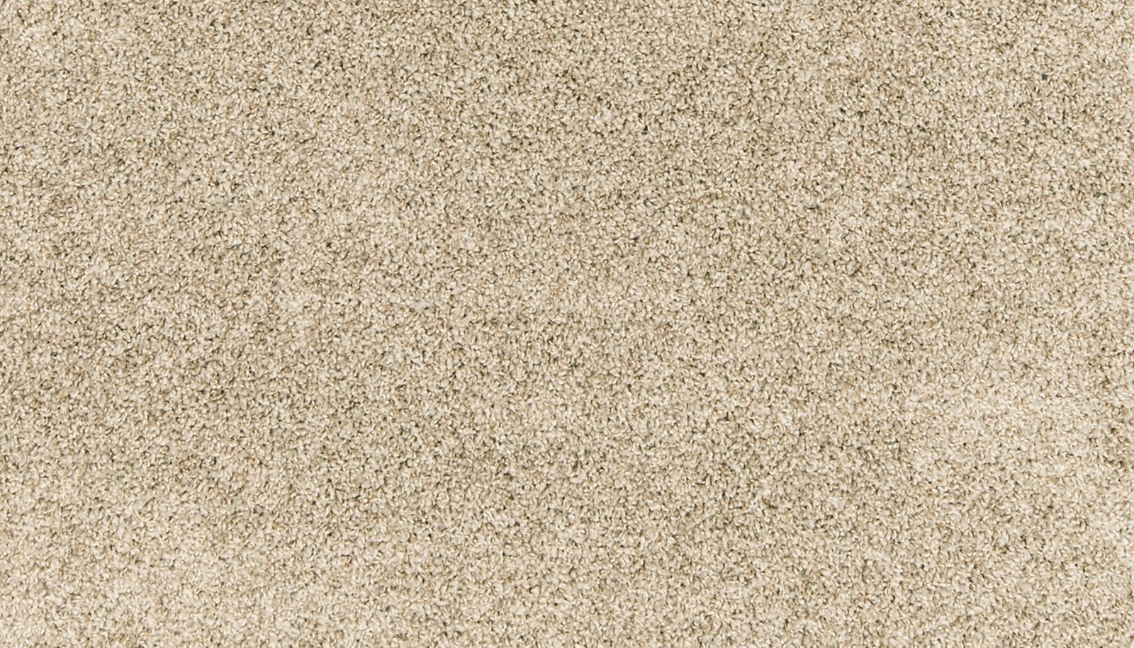 Mohawk Paw Pathway in Radiance, Carpet product detail