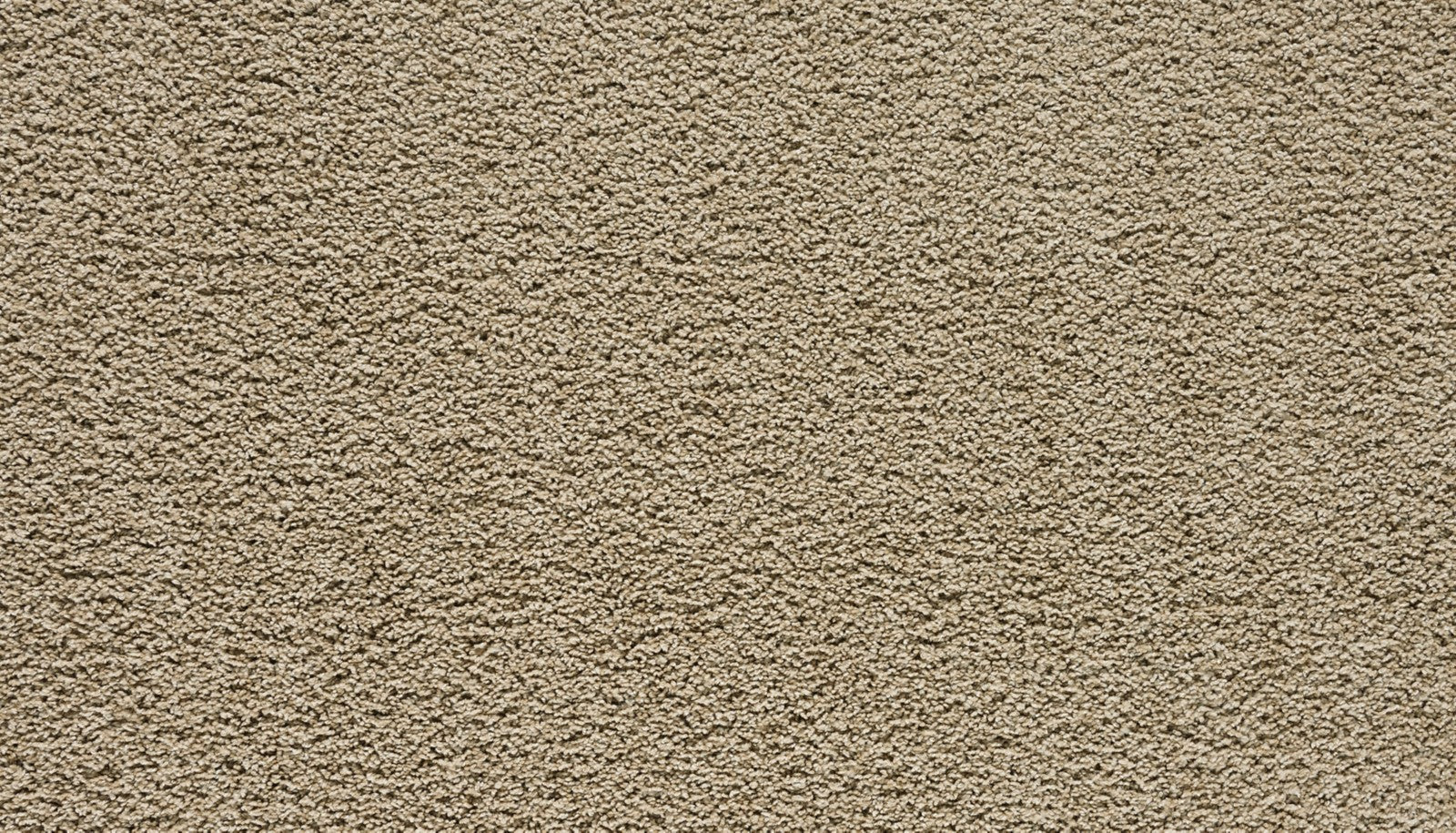 Mohawk Paw Pathway in Midsummer Light, Carpet product detail