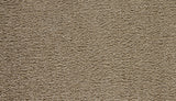 Mohawk Paw Pathway Carpet