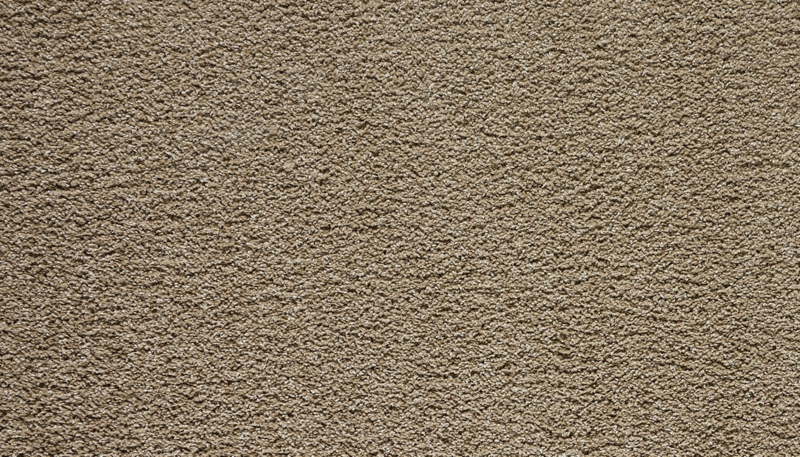 Mohawk Paw Pathway in Camel, Carpet product detail