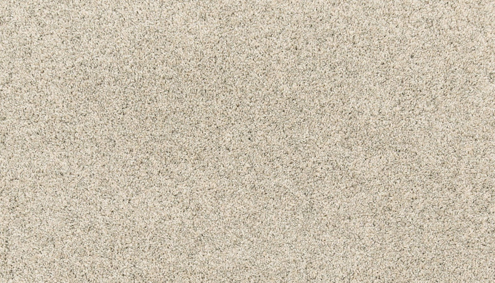 Mohawk Paw Pathway in Ice Pick, Carpet product detail