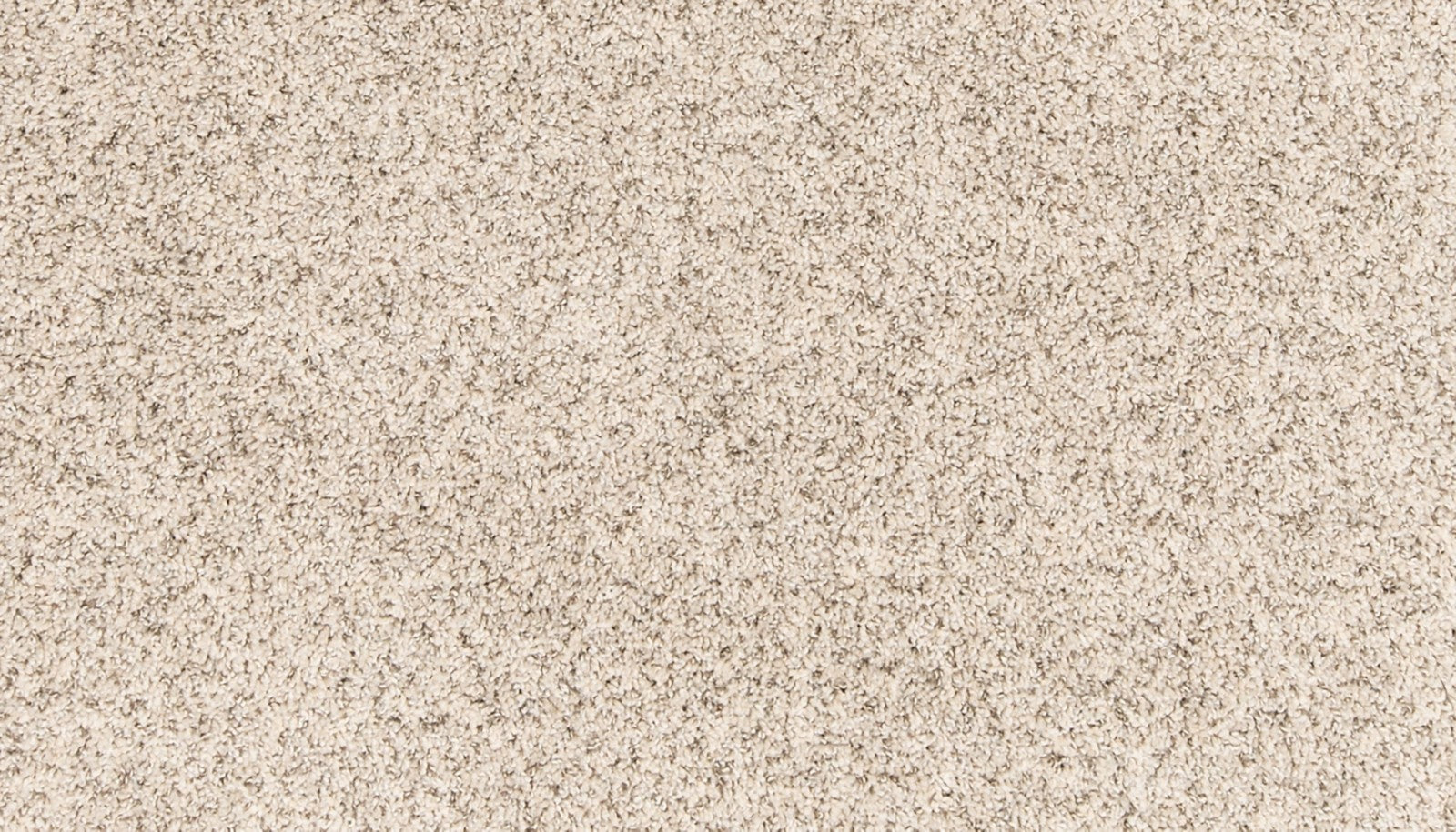 Mohawk Paw Pathway in Snow Path, Carpet product detail