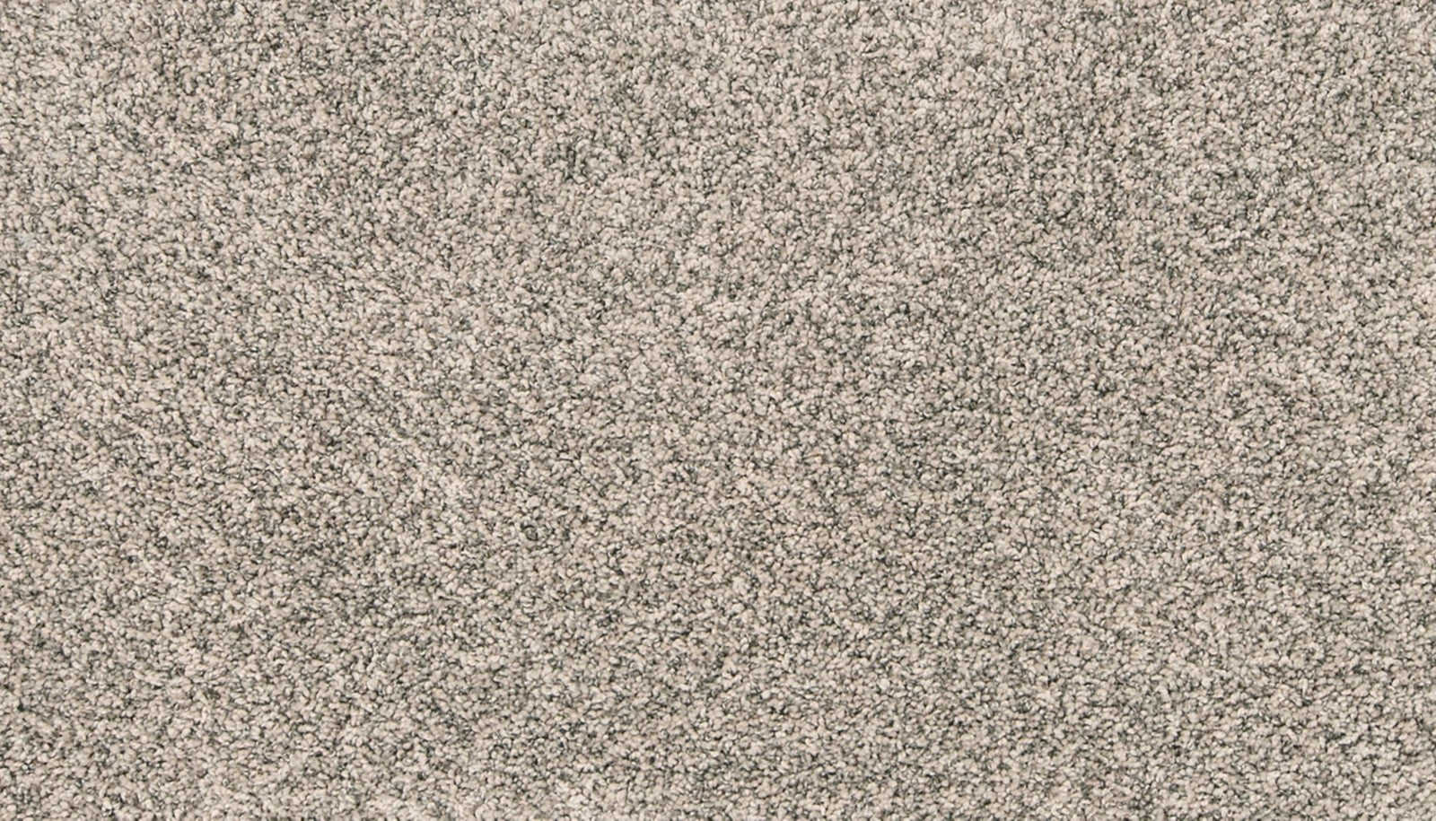 Mohawk Paw Pathway in Mushroom, Carpet product detail