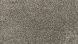 Mohawk Paw Pathway Carpet
