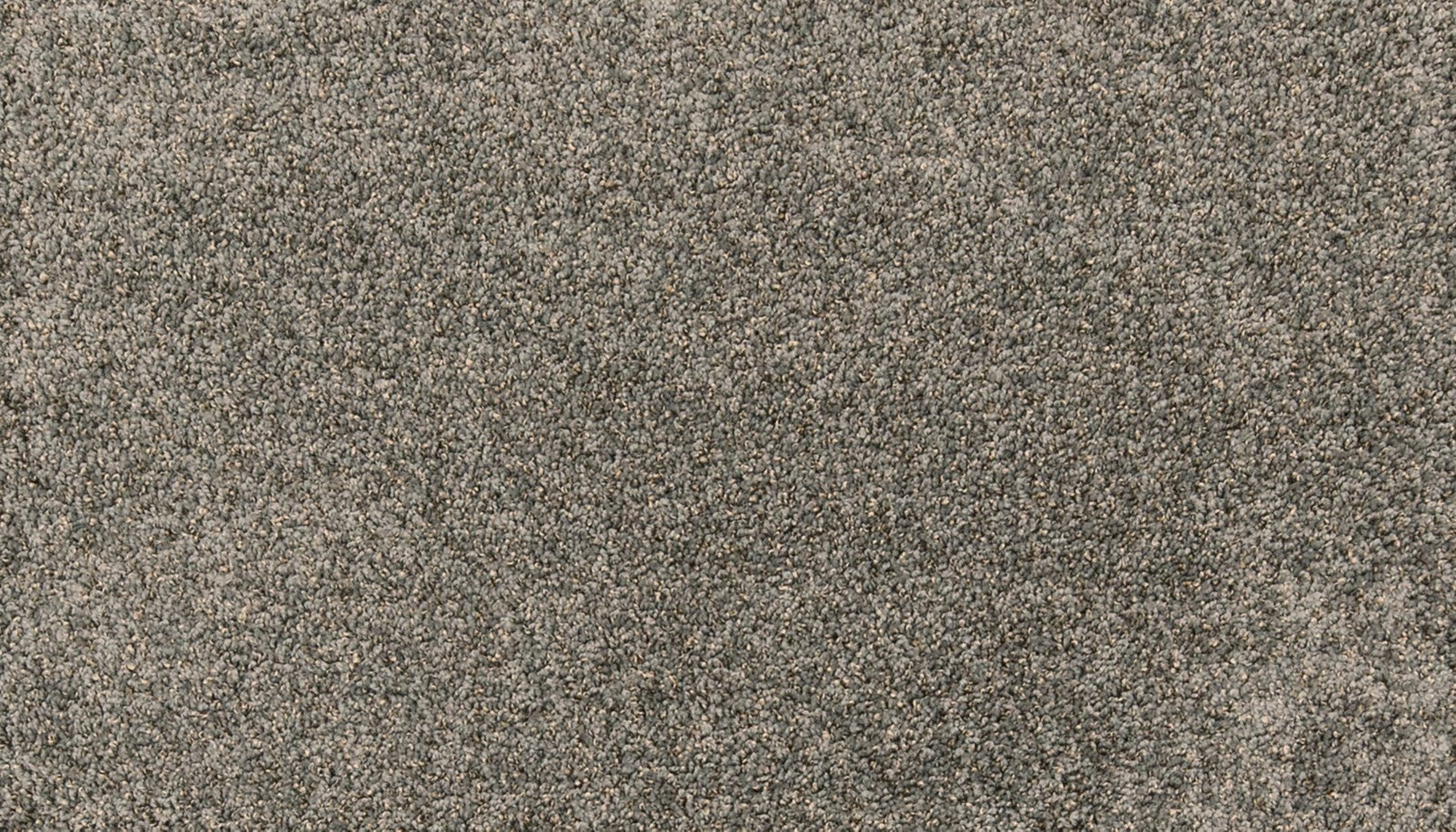 Mohawk Paw Pathway in Ash, Carpet product detail
