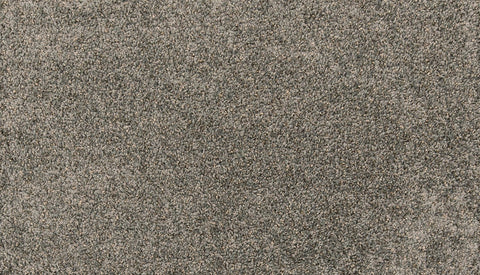 Mohawk Paw Pathway Carpet