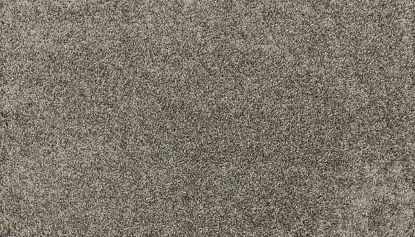 Mohawk Paw Pathway Carpet