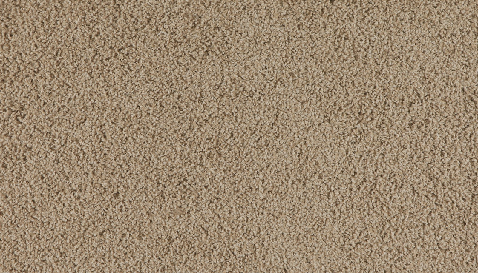 Mohawk Marciano in Toffee Cream, Carpet product detail