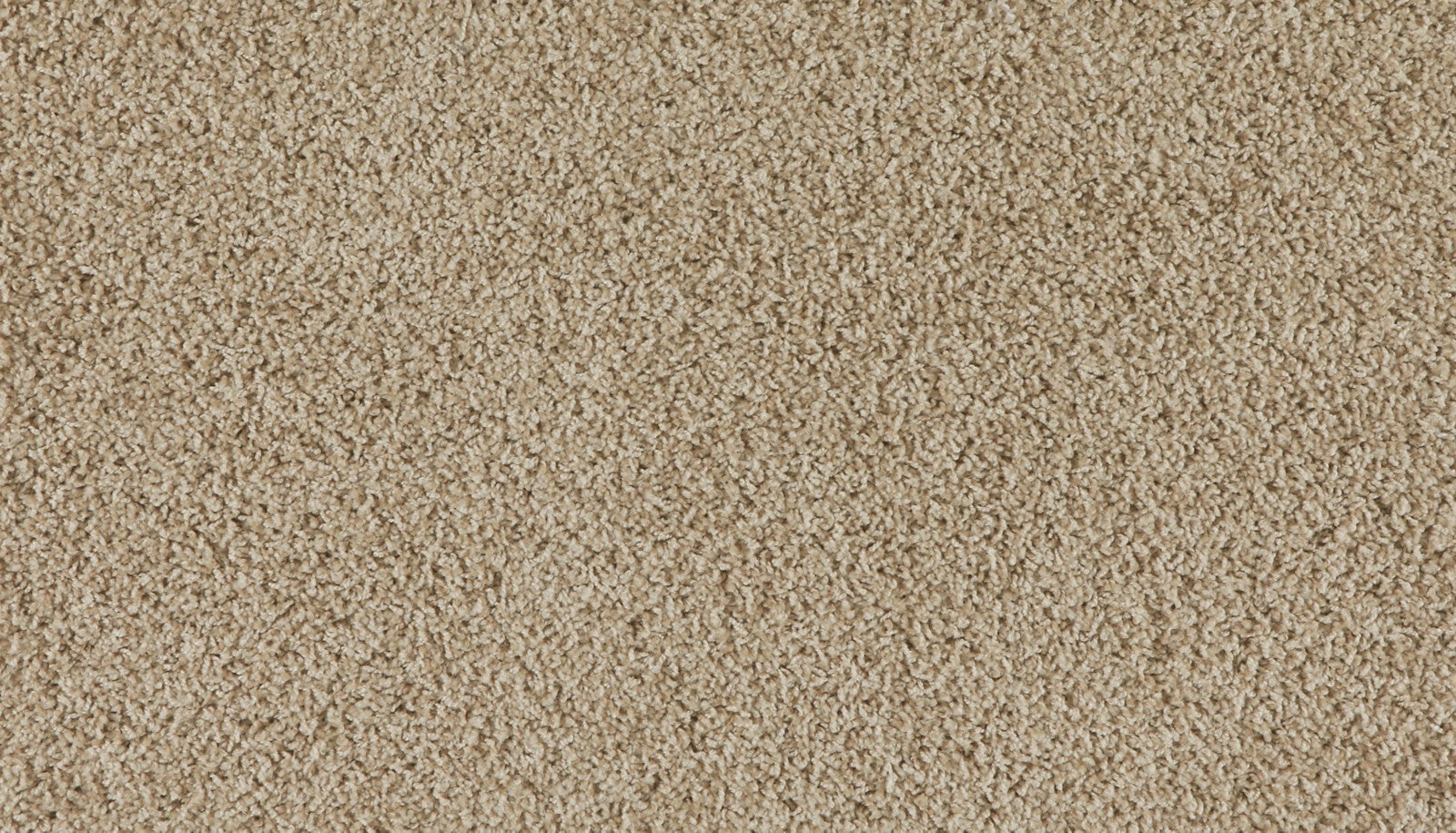Mohawk Marciano in Truffle Stone, Carpet product detail