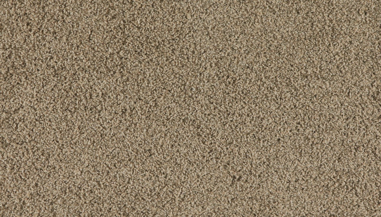 Mohawk Marciano in Flax Seed, Carpet product detail