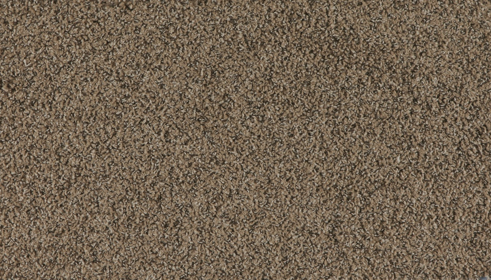 Mohawk Marciano in Pepper Grass, Carpet product detail