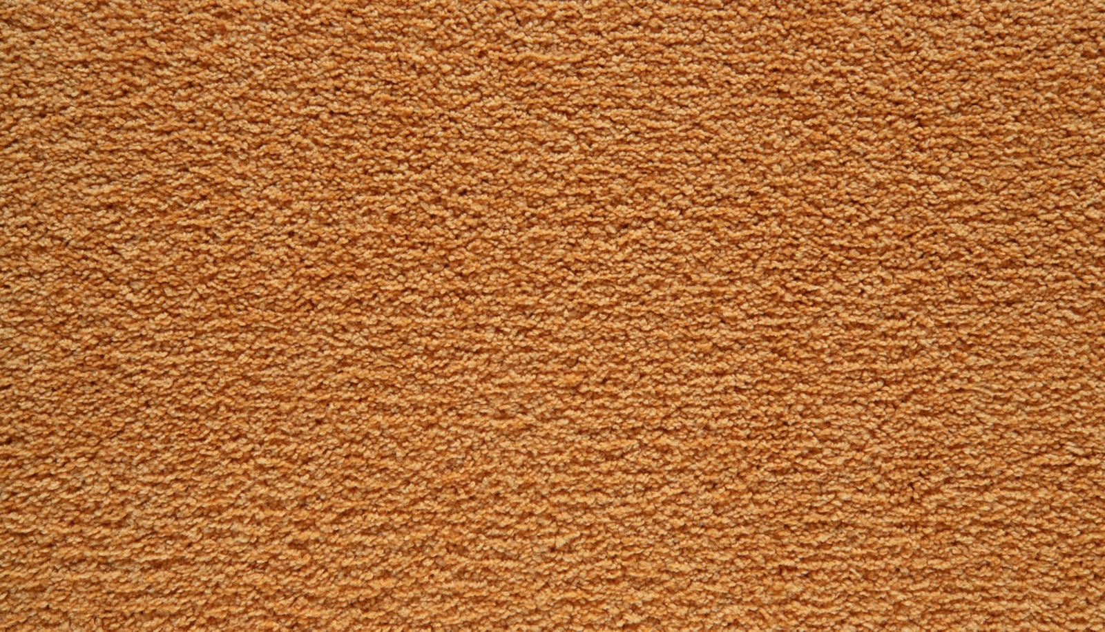 Mohawk Showtime II in Orange You Famous, Carpet product detail