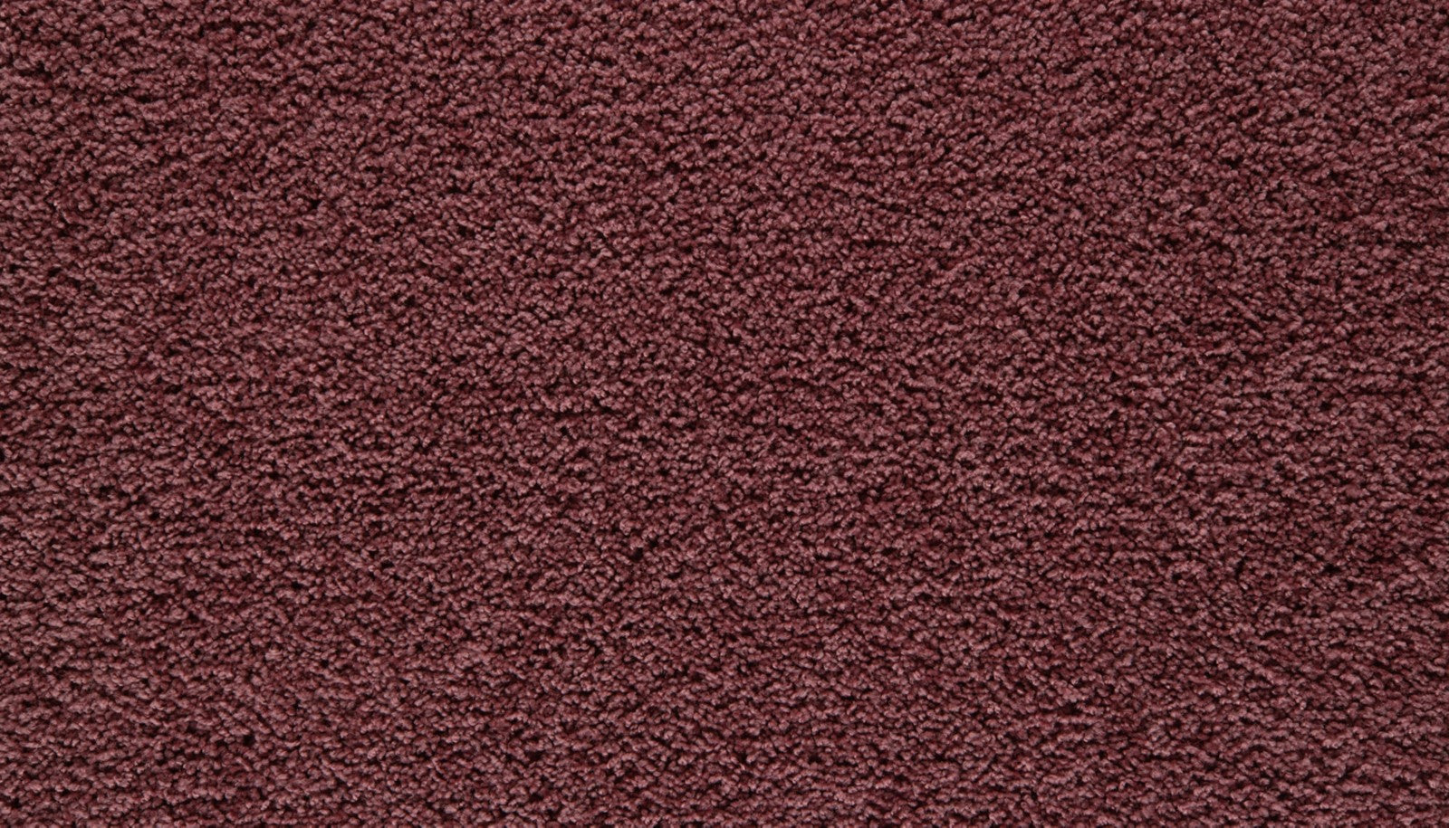 Mohawk Showtime II in Berry On Broadway, Carpet product detail