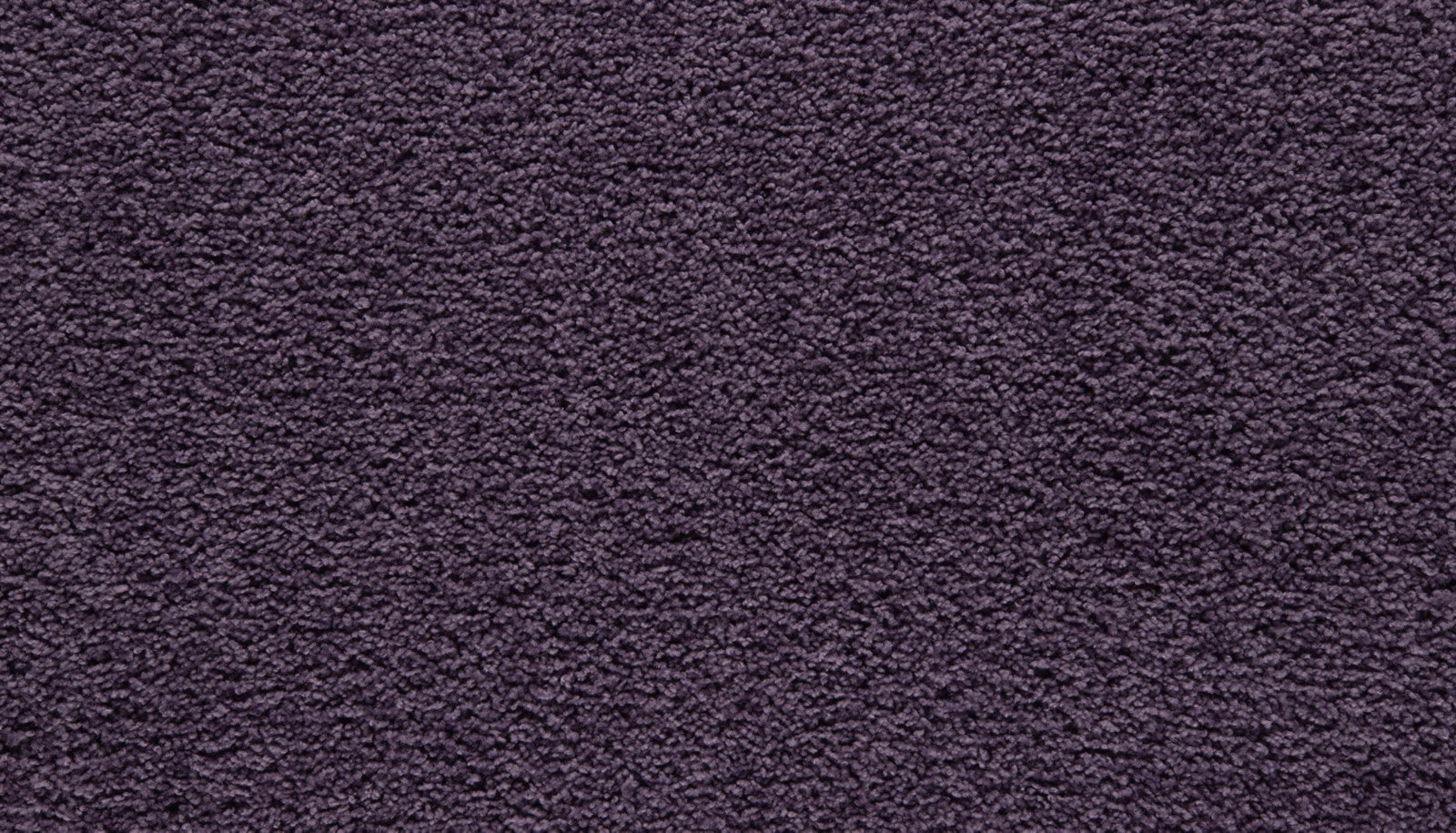 Mohawk Showtime II in Purple Reign, Carpet product detail