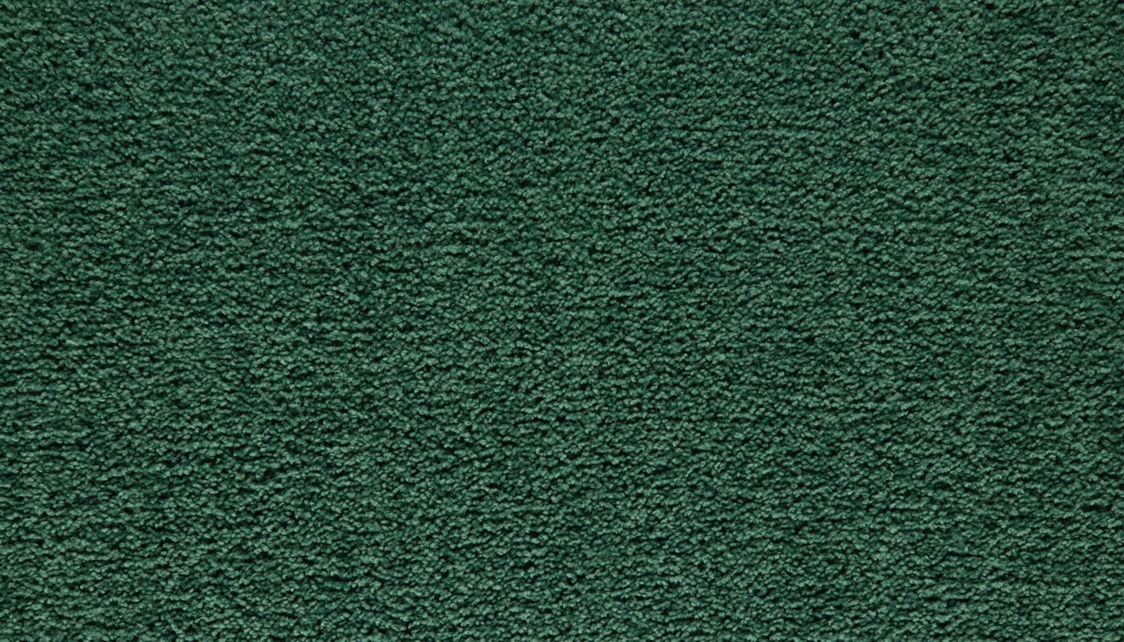 Mohawk Showtime II in Jungle Drama, Carpet product detail