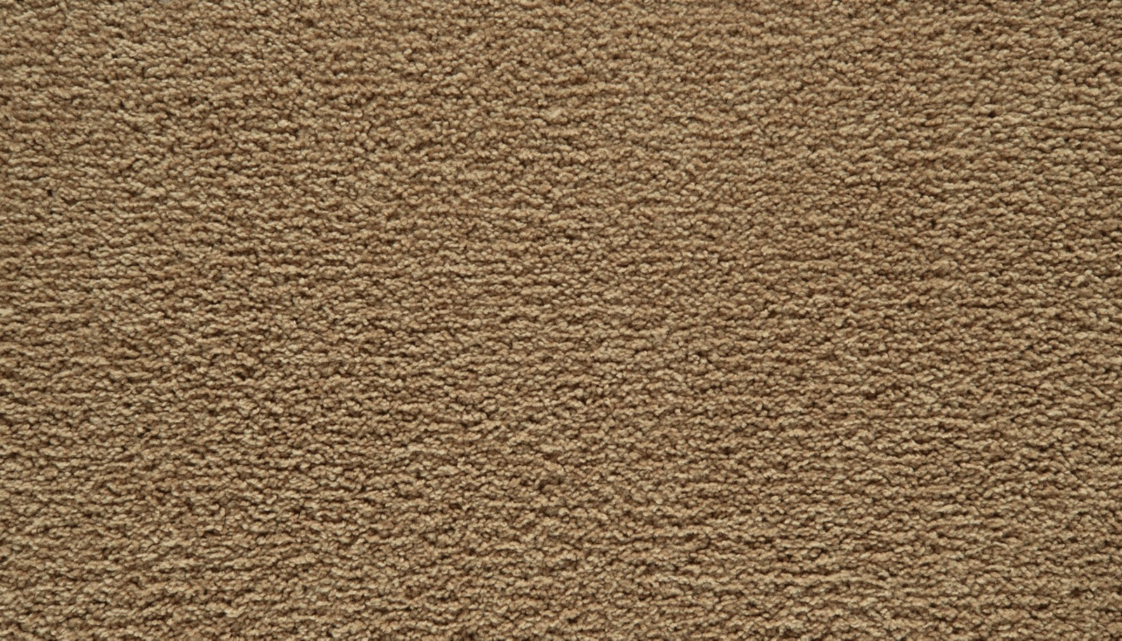 Mohawk Showtime II in Opening Act, Carpet product detail