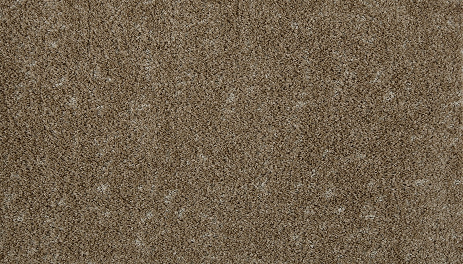 Mohawk Bark And Roll in Warm Sand, Carpet product detail