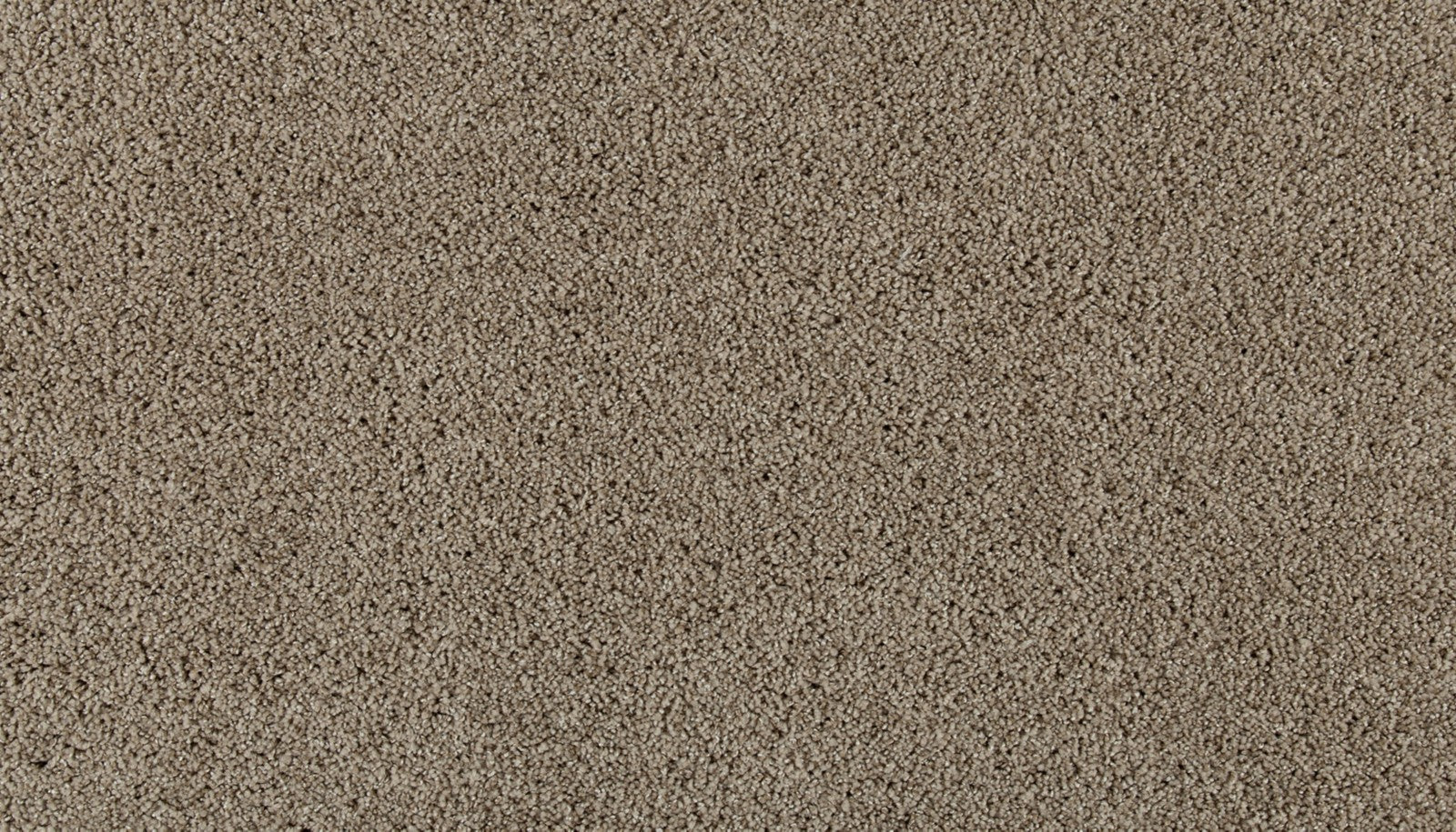 Mohawk Olympus II in Windsome, Carpet product detail