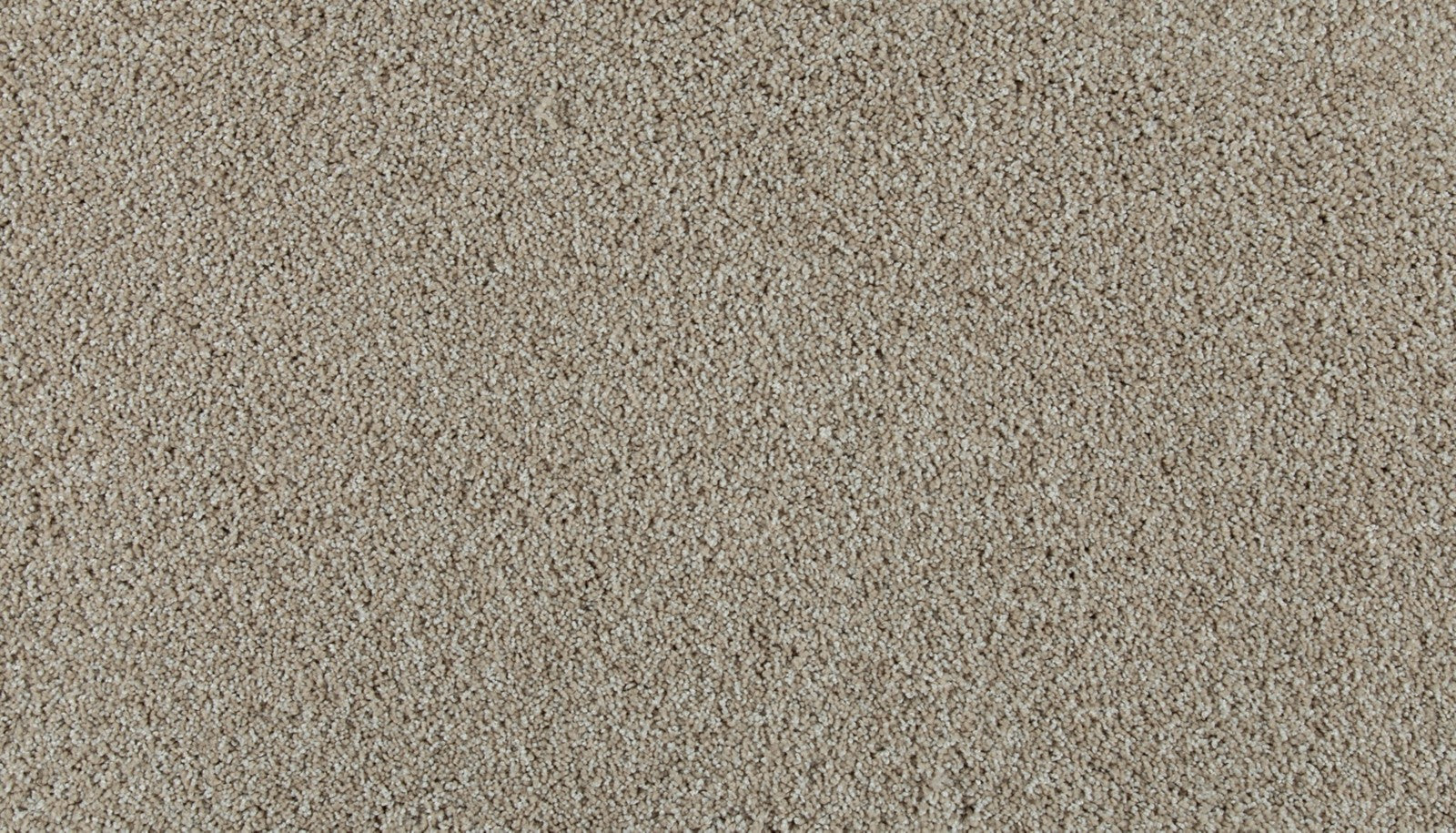 Mohawk Olympus II in Sugar Cone, Carpet product detail