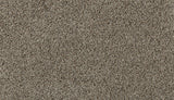 Mohawk Olympus II Carpet