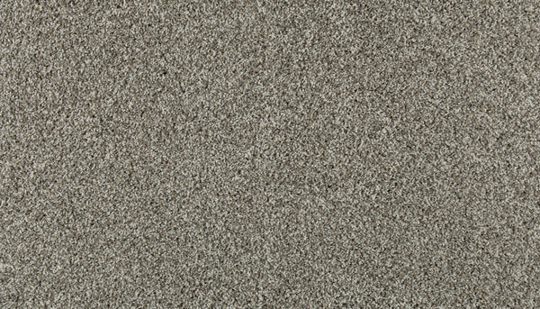 Mohawk Olympus II Carpet