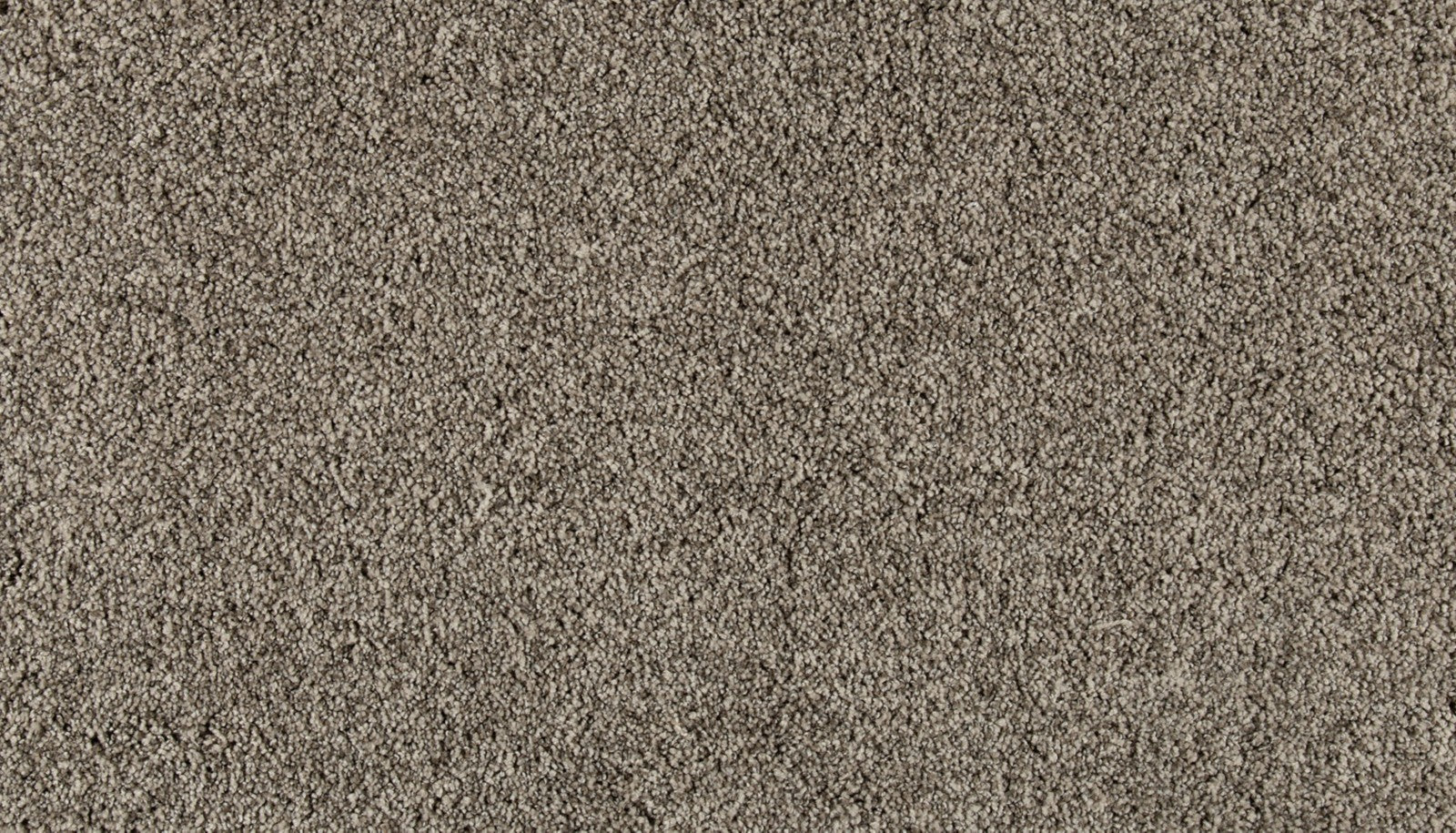 Mohawk Olympus II in Mushroom, Carpet product detail