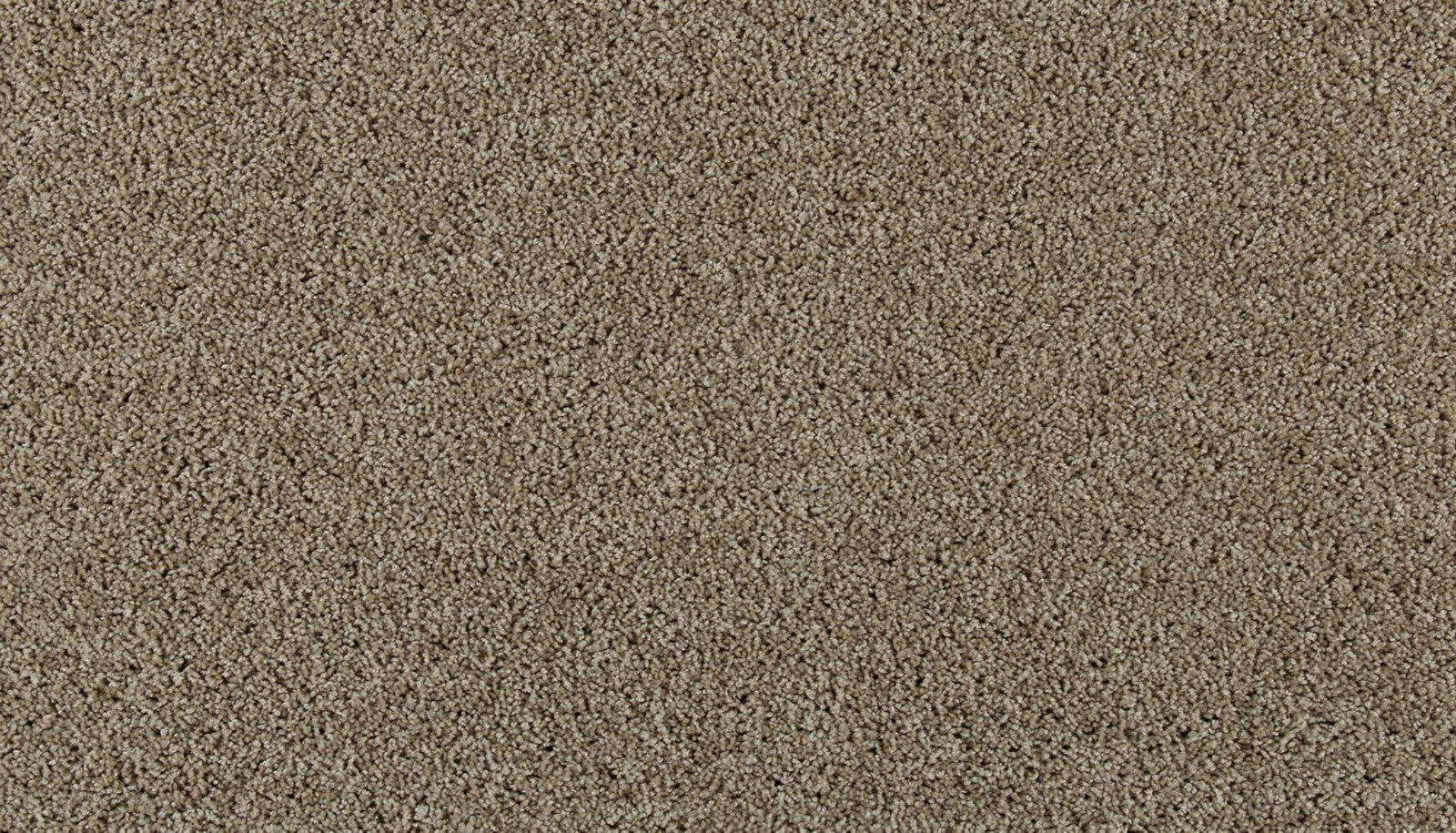 Mohawk Olympus III in Bone, Carpet product detail