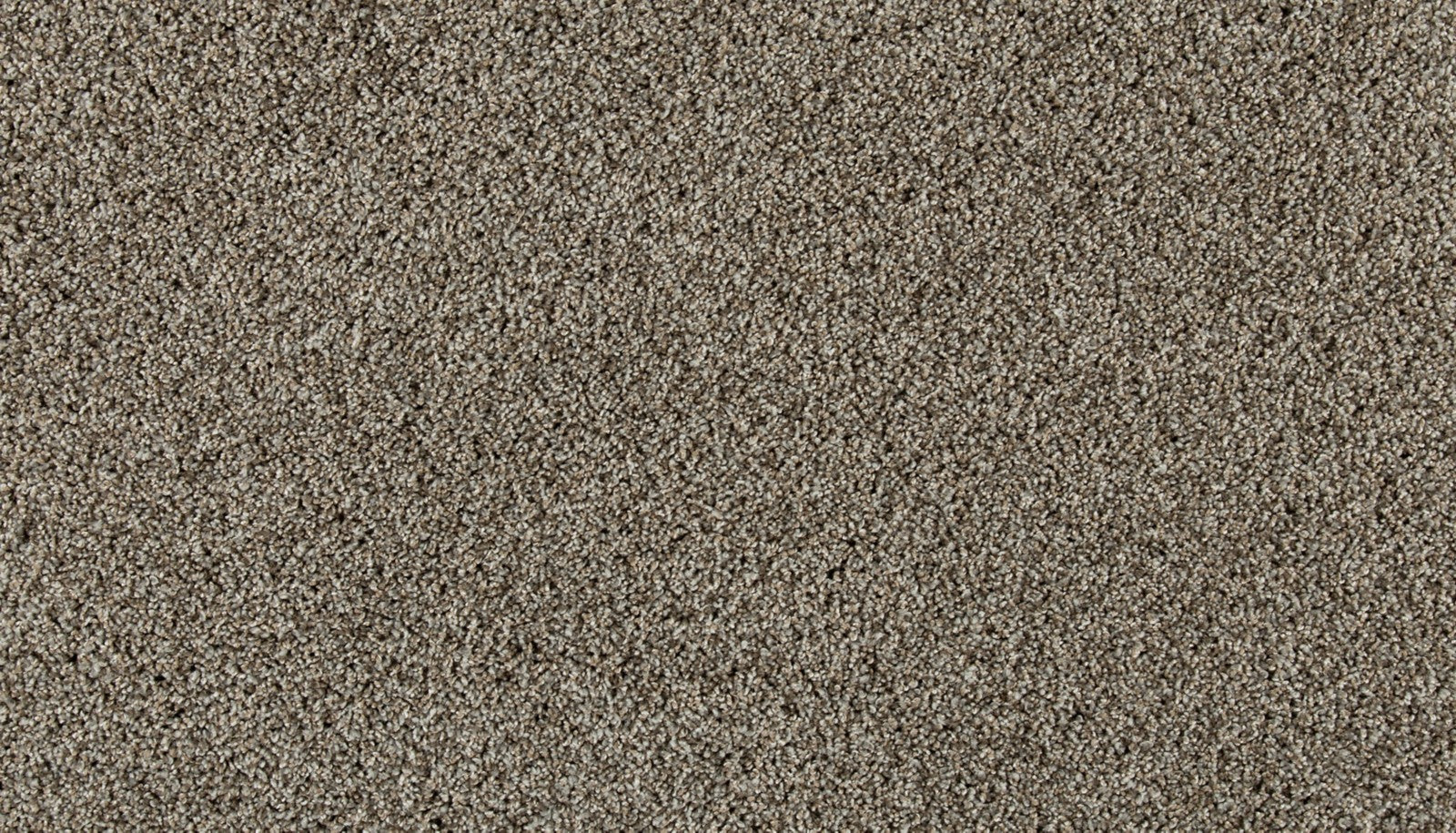 Mohawk Olympus III in Champagne, Carpet product detail