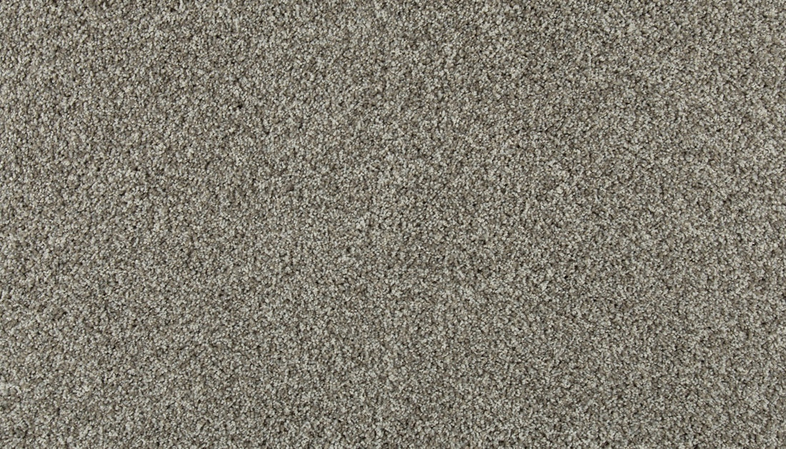 Mohawk Olympus III Carpet