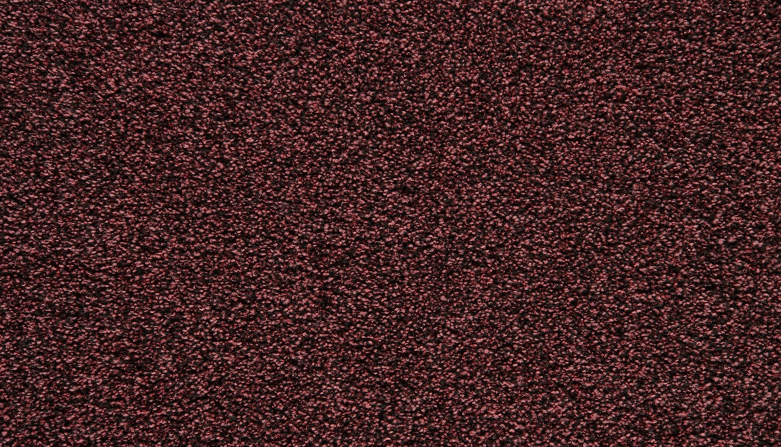 Mohawk Showtime II in Razzmatazz, Carpet product detail