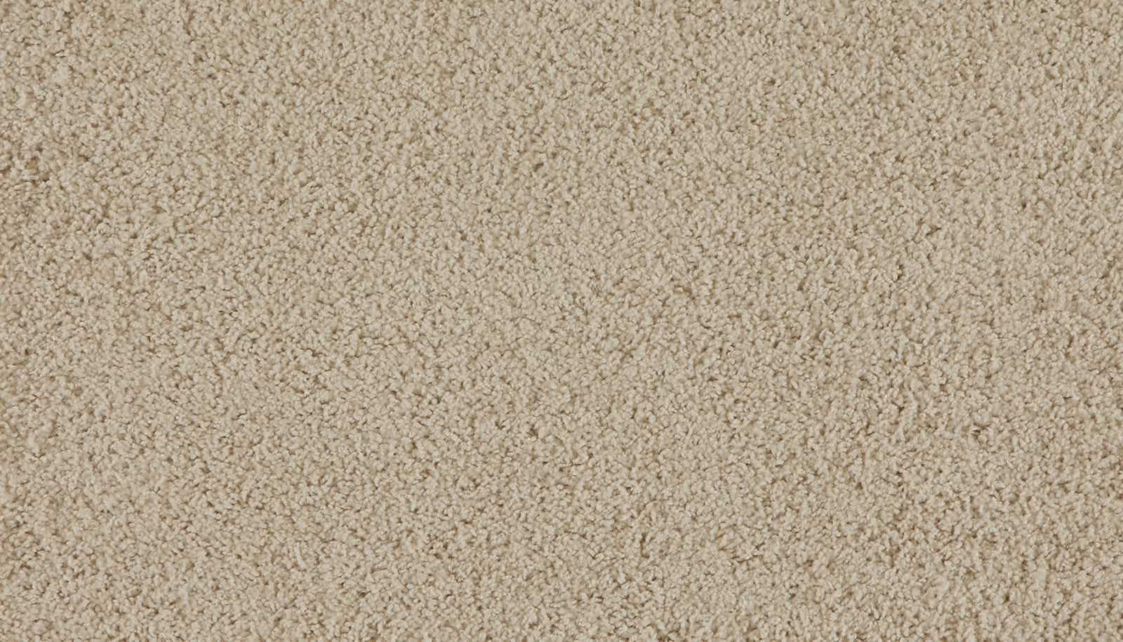 Mohawk Marciano in Trailhead, Carpet product detail