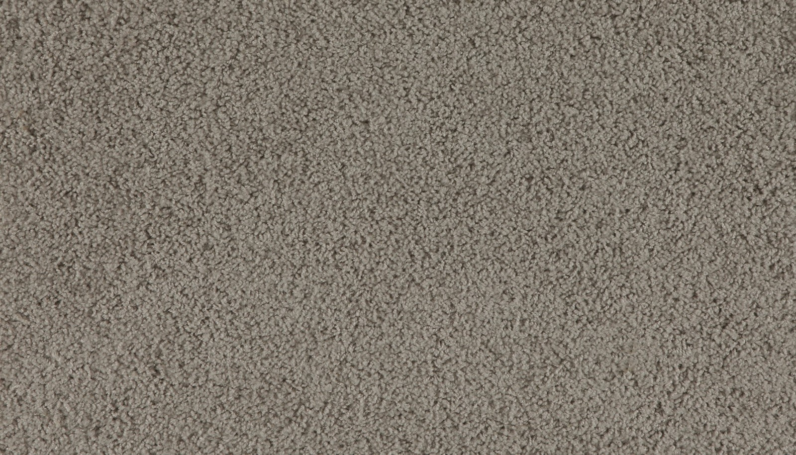 Mohawk Marciano in Wheatland, Carpet product detail
