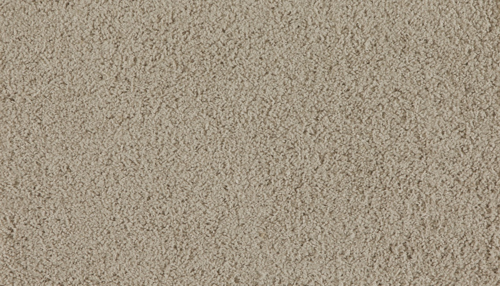 Mohawk Marciano in Pioneer, Carpet product detail