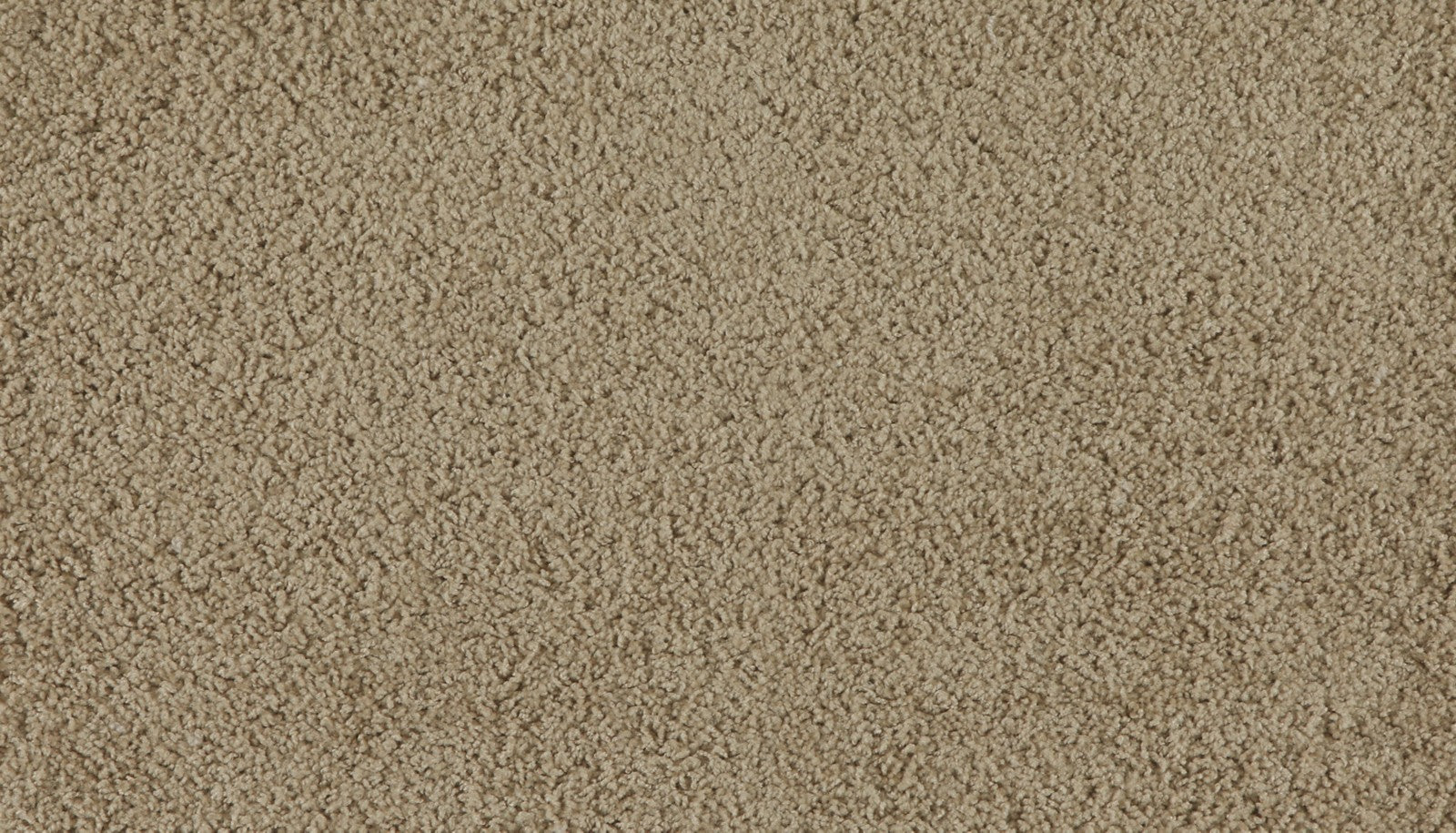 Mohawk Marciano in Wild Honey, Carpet product detail