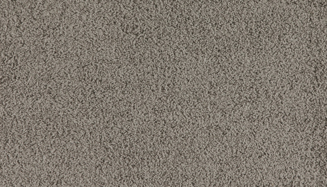 Mohawk Marciano Carpet