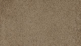 Mohawk Marciano Carpet