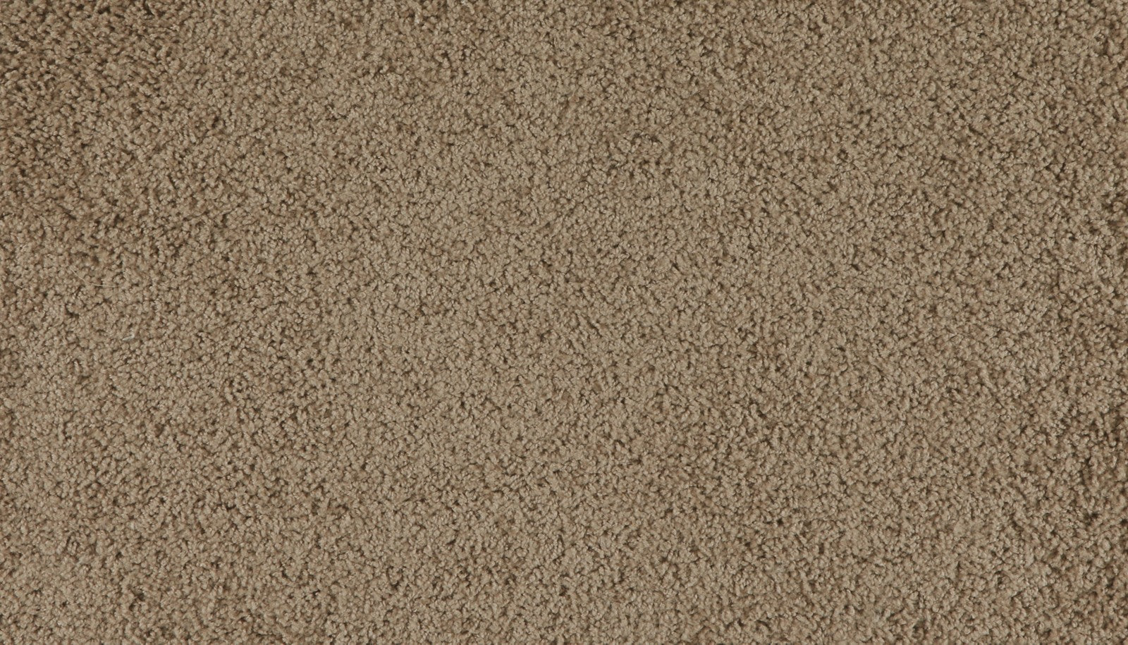 Mohawk Marciano in Chestnut Hill, Carpet product detail
