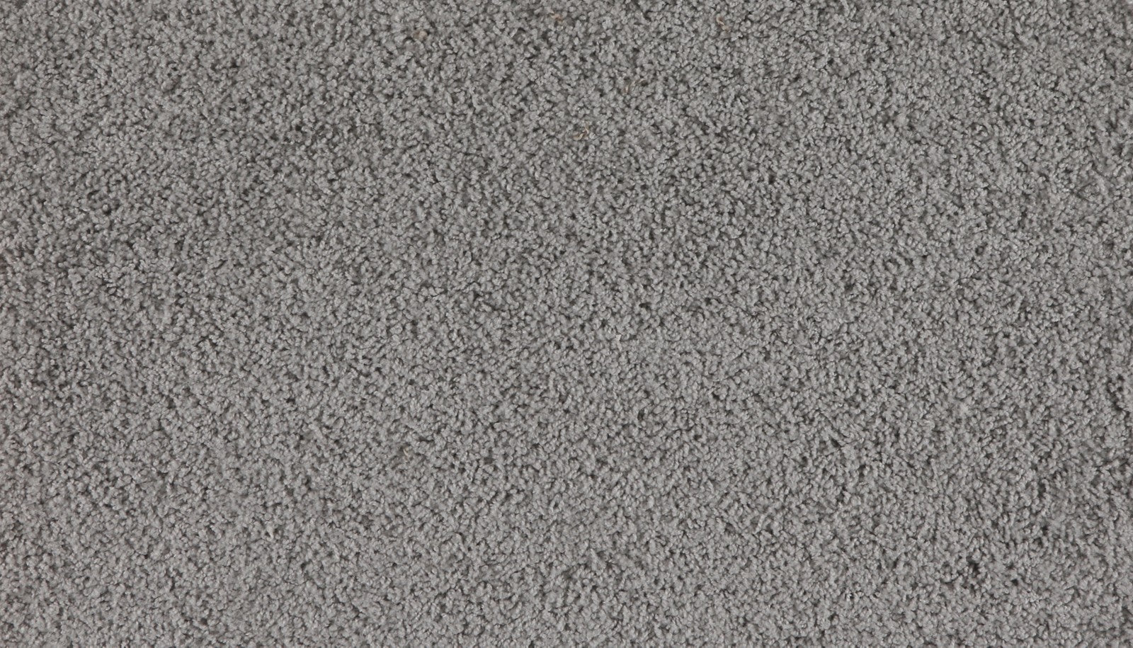 Mohawk Marciano in Maplewood, Carpet product detail