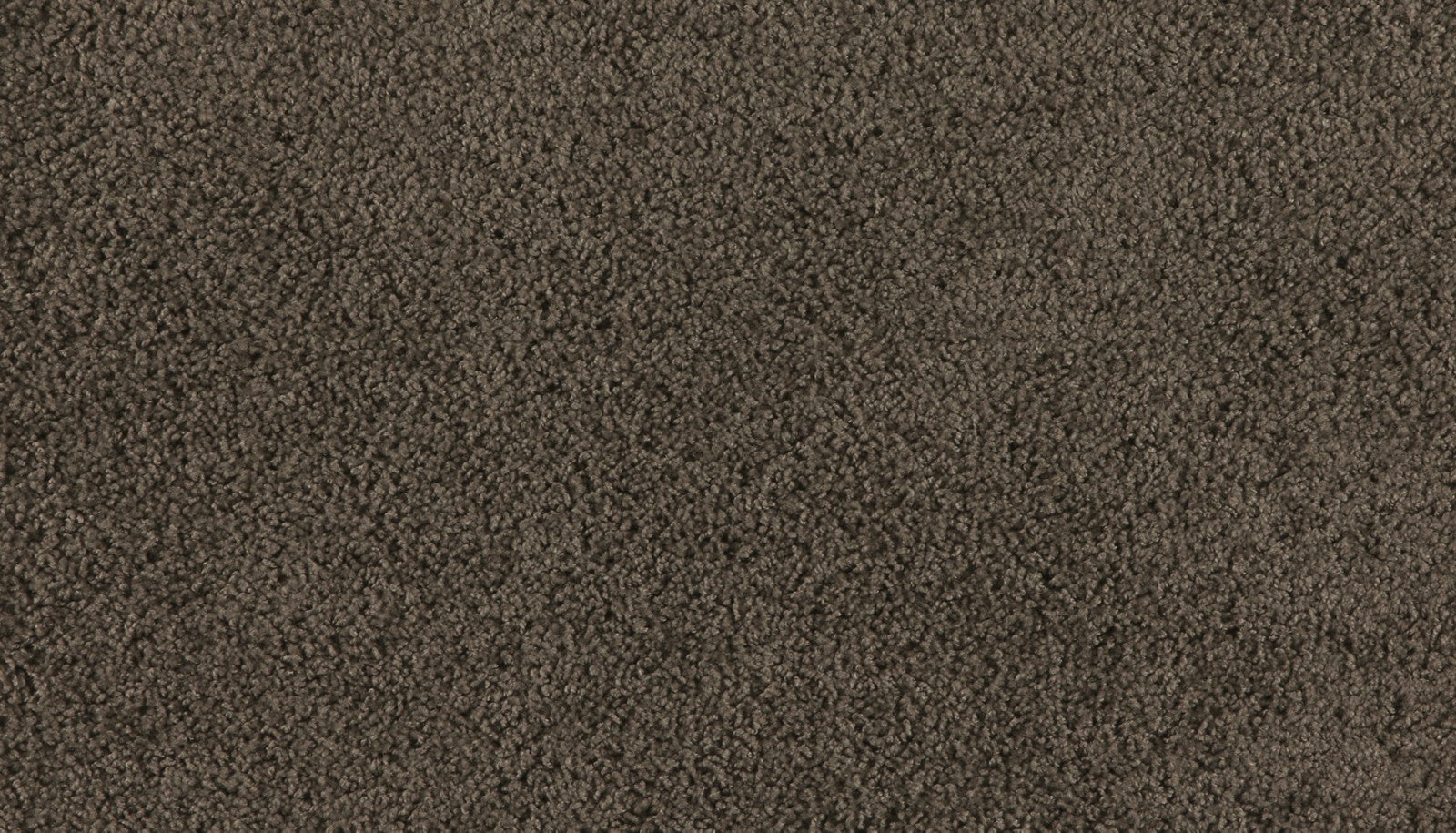 Mohawk Marciano in Cornfield, Carpet product detail