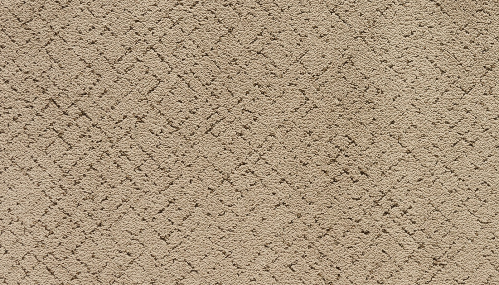 Mohawk Luxuriant Weave in Halo, Carpet product detail