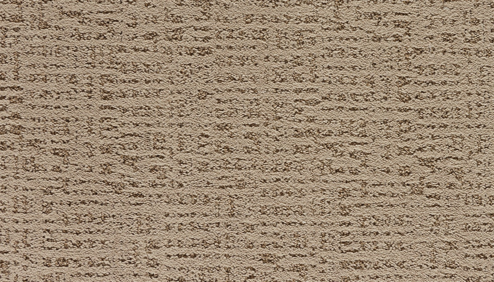 Mohawk Luxuriant Path in Halo, Carpet product detail